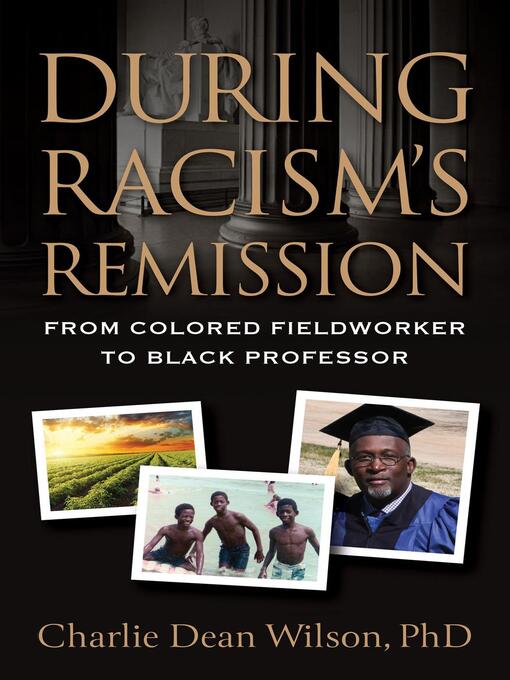 Title details for During Racism's Remission by Charlie Dean Wilson, PhD - Available